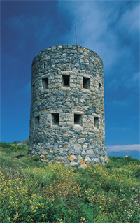 martelo-tower